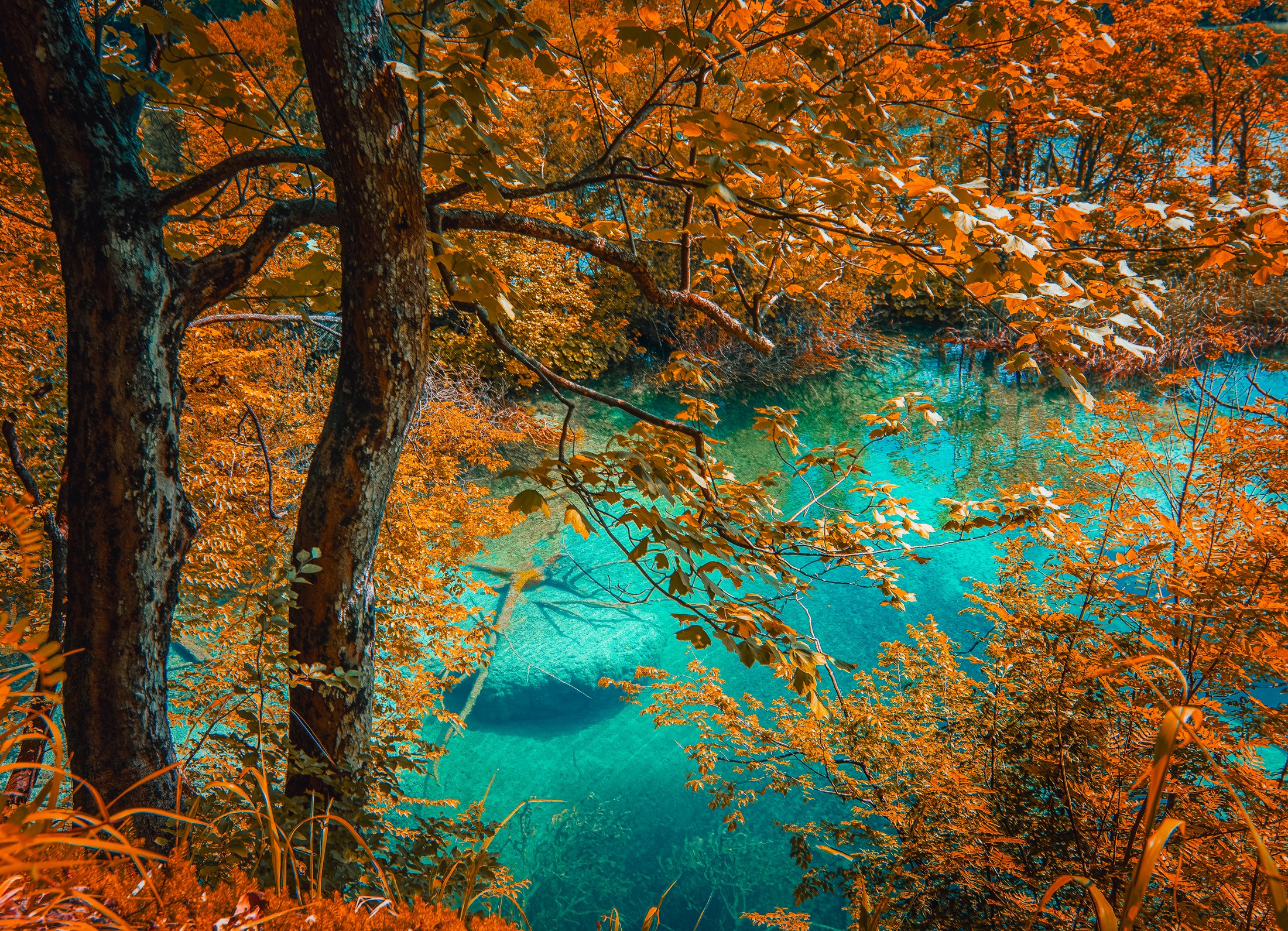 Autumn%20Over%20Emerald
