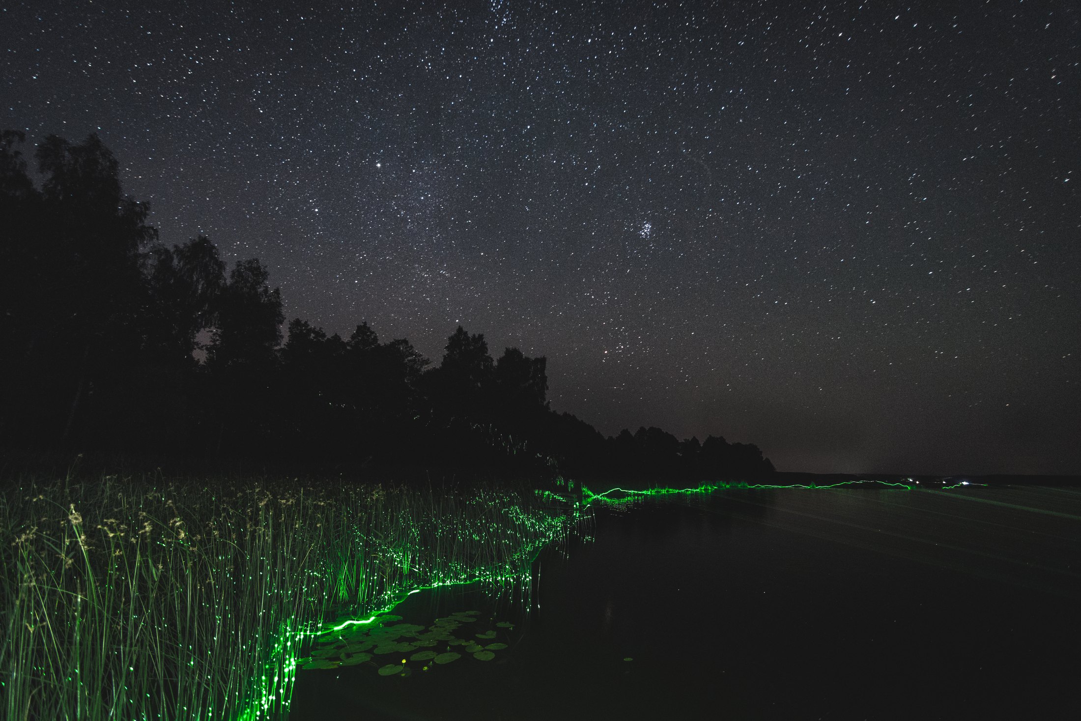 Green%20Path%20of%20Night