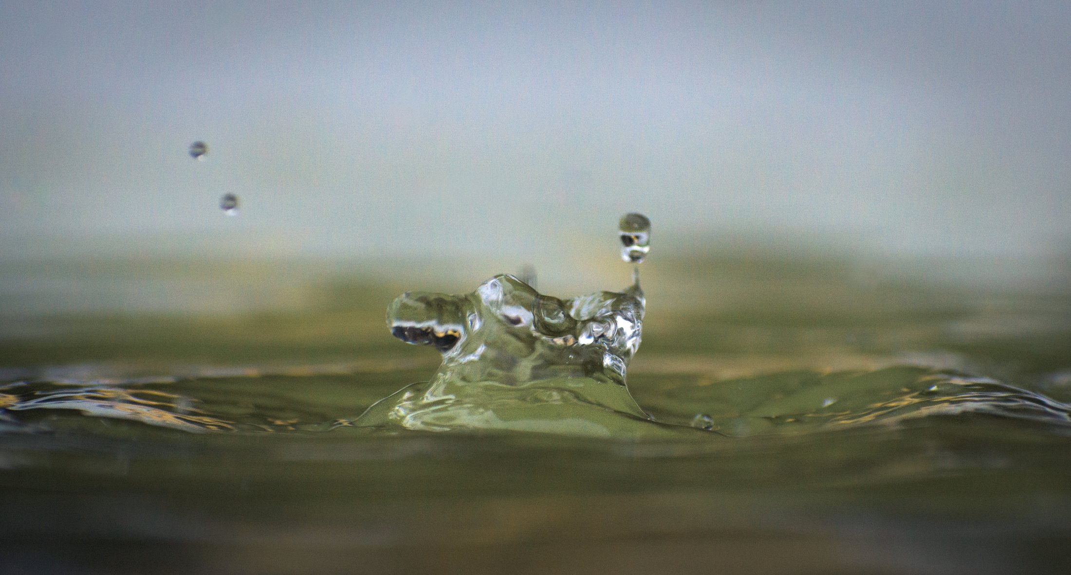 Ripplewrought Form