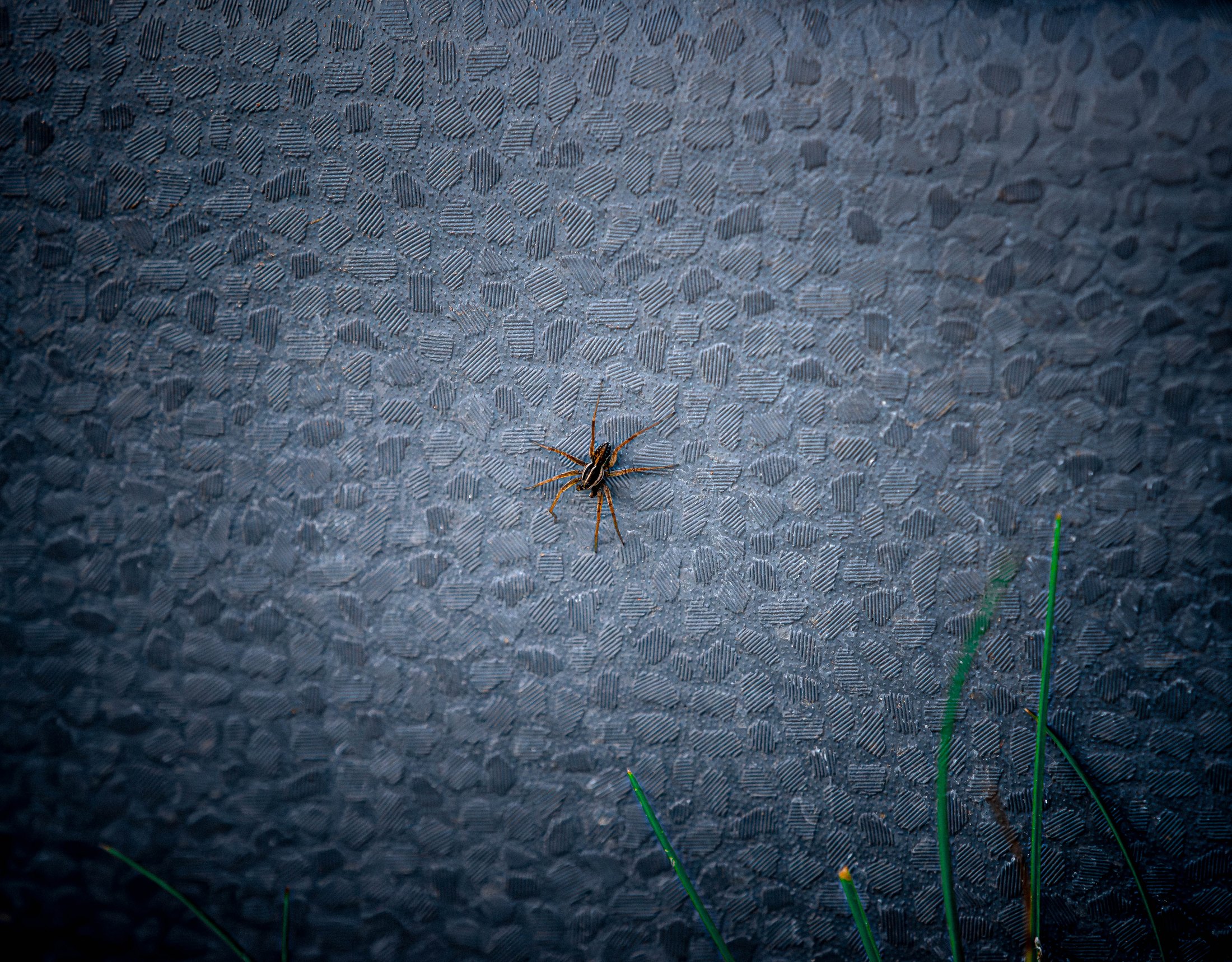 Stoneweb%20Hush