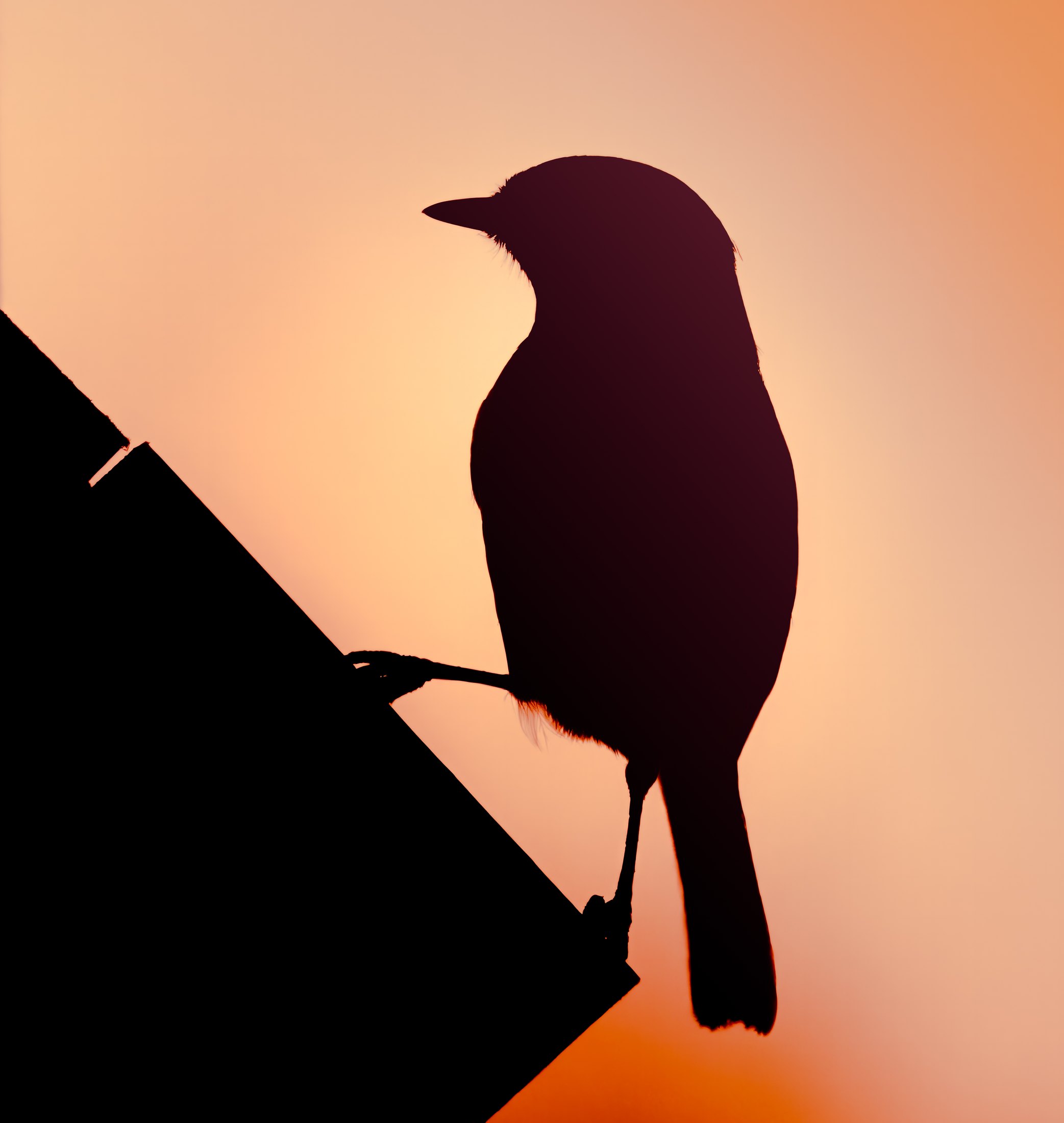 Sunset%20Soliloquy