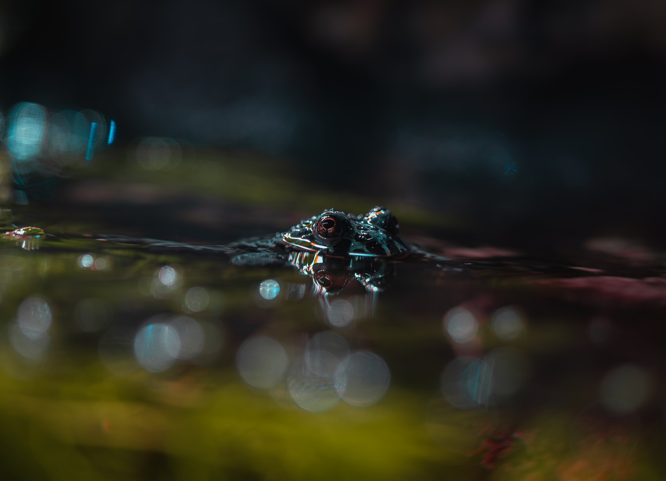 Surface%20Hunter