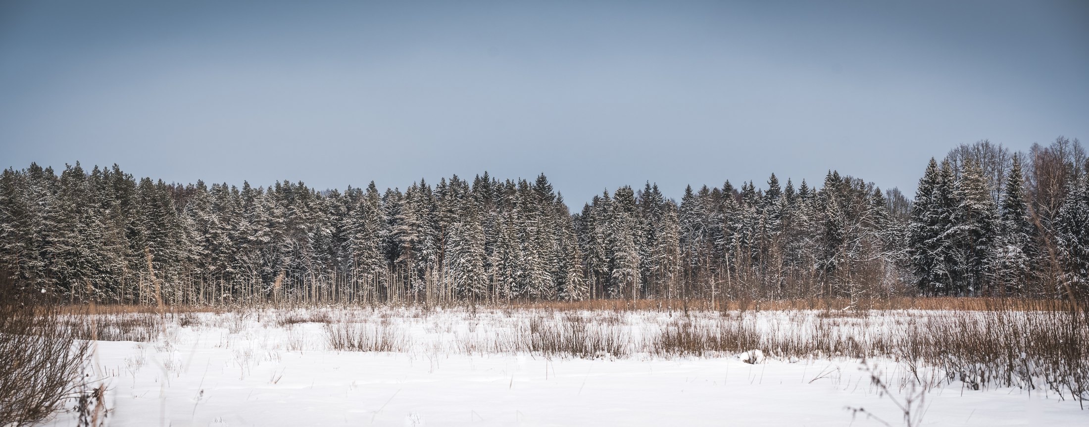 Winter%20Stillness