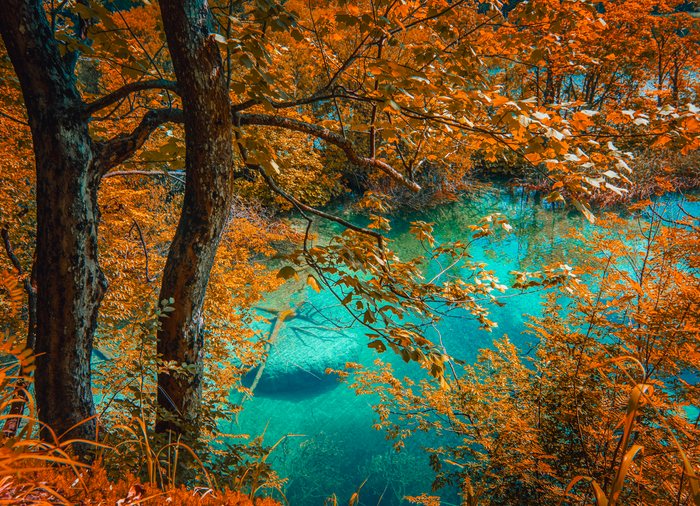 Autumn%20Over%20Emerald