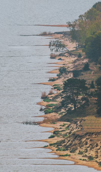 Forest%20Shore