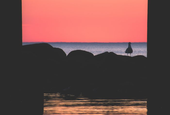 Framed%20Evening