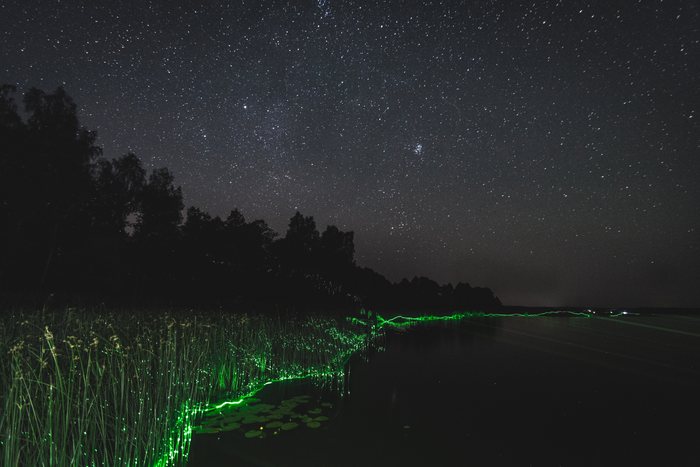 Green%20Path%20of%20Night