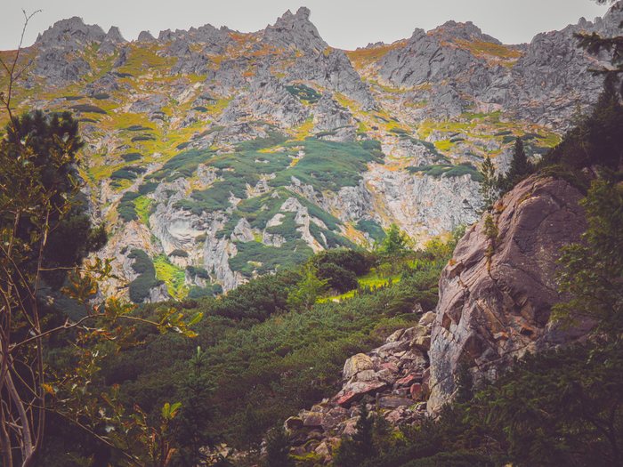 High%20Mountain%20Silence