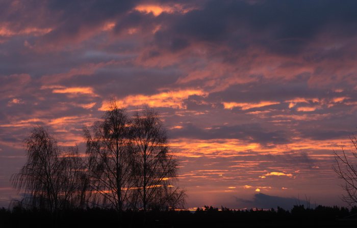Ainted%20Dusk