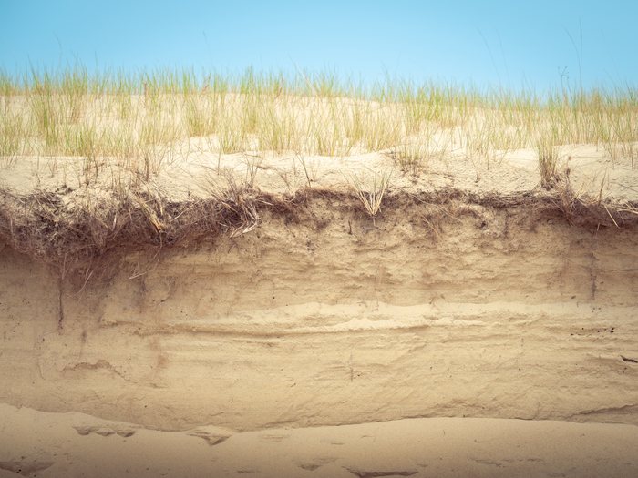Quiet%20Stillness