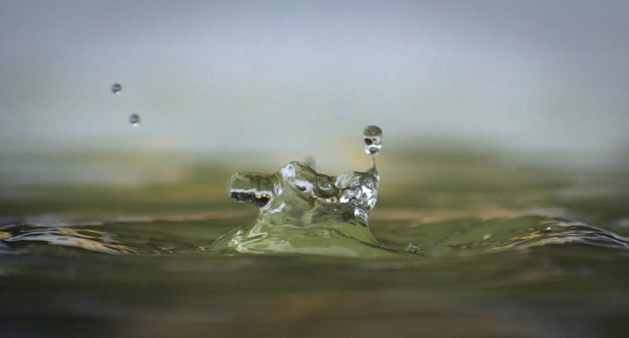 Ripplewrought%20Form