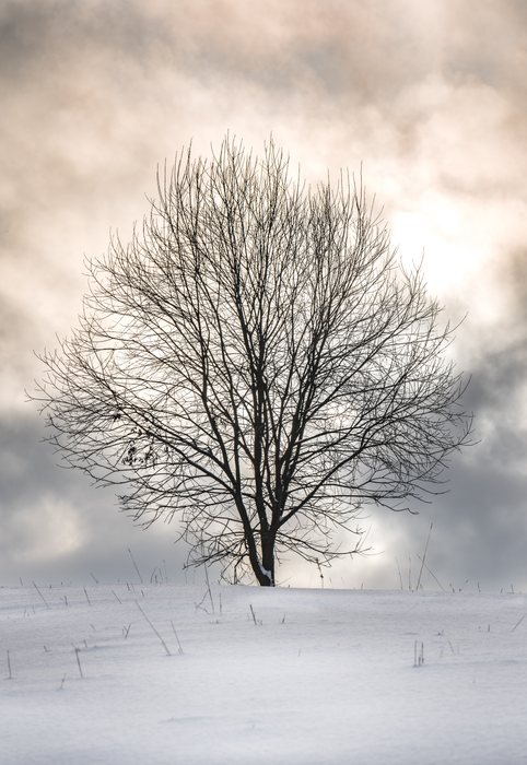 Solitude%20in%20White