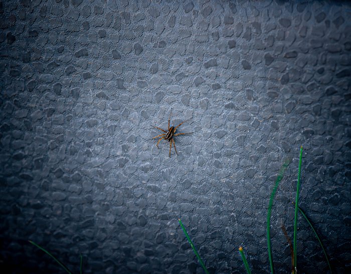 Stoneweb%20Hush