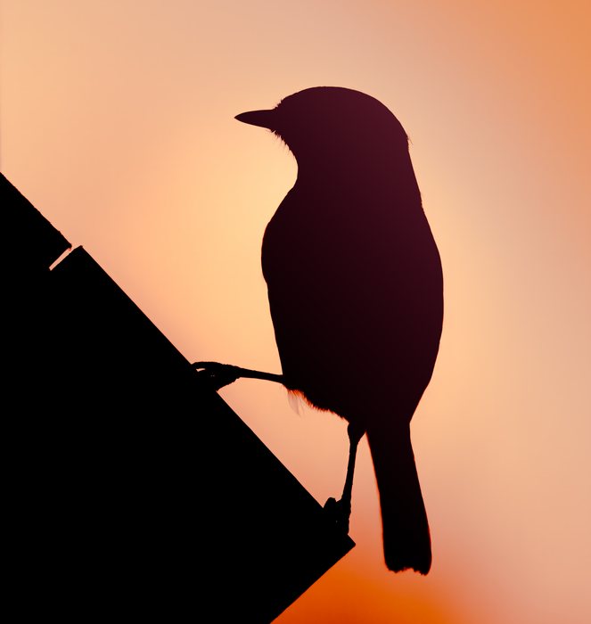 Sunset%20Soliloquy