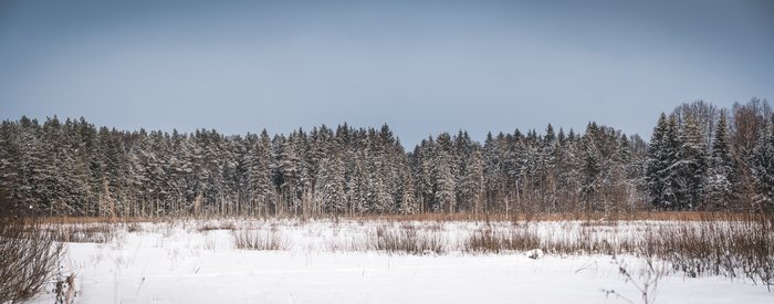Winter%20Stillness
